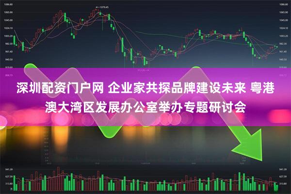 深圳配资门户网 企业家共探品牌建设未来 粤港澳大湾区发展办公室举办专题研讨会