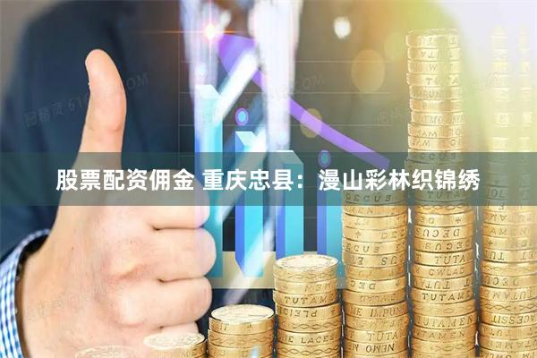 股票配资佣金 重庆忠县：漫山彩林织锦绣