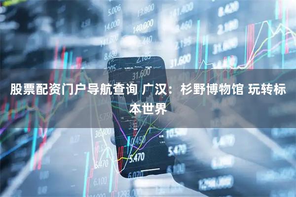 股票配资门户导航查询 广汉：杉野博物馆 玩转标本世界